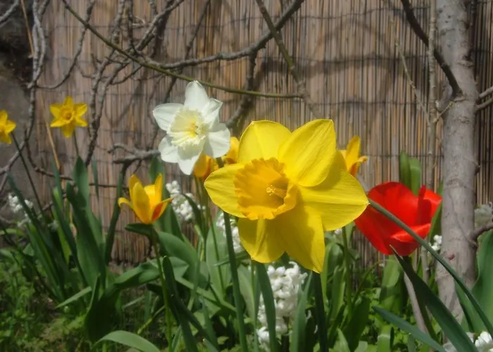 Le Jardin de Cécile et Benoit - Bed&Breakfast